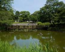 公園