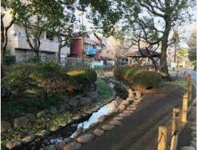 公園