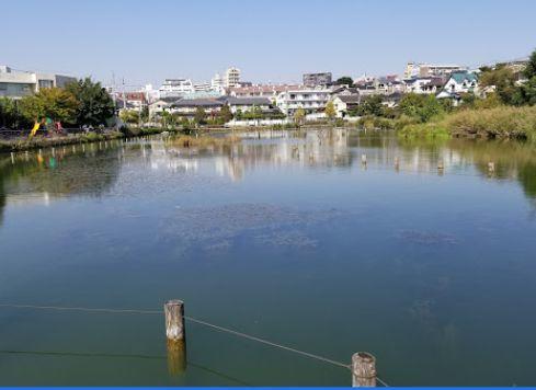 公園