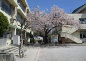 小学校