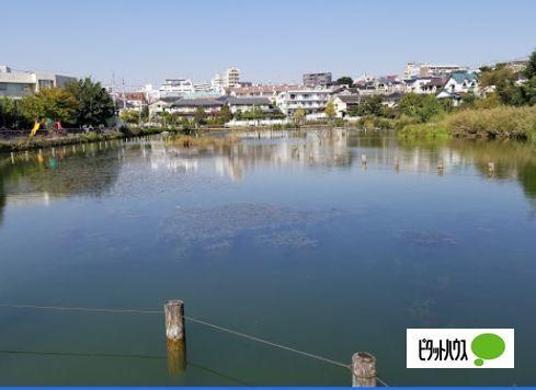 公園