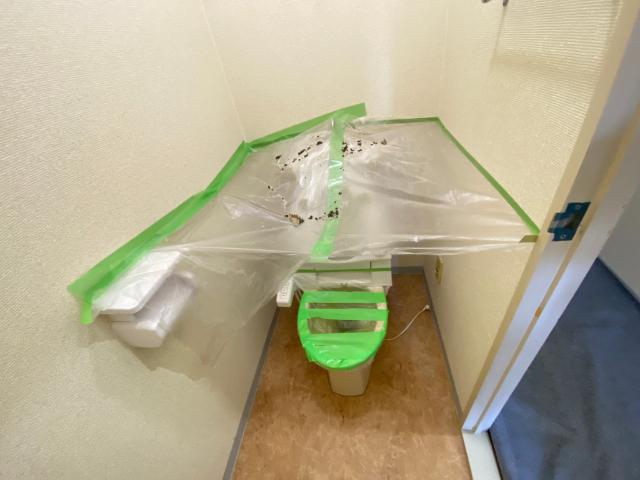 エクセレンス清水 部屋画像