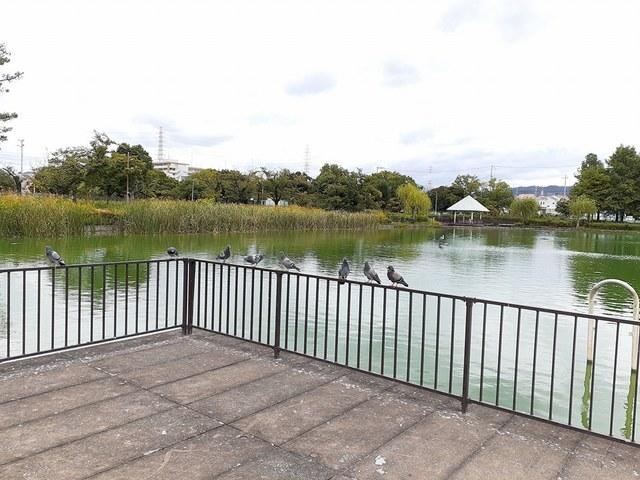 弁天池公園：750m