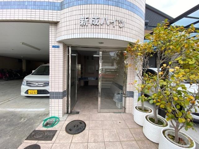 新成ハイツ 物件画像