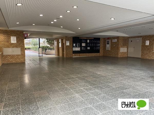 京橋グリーンハイツ三号棟 エントランス
