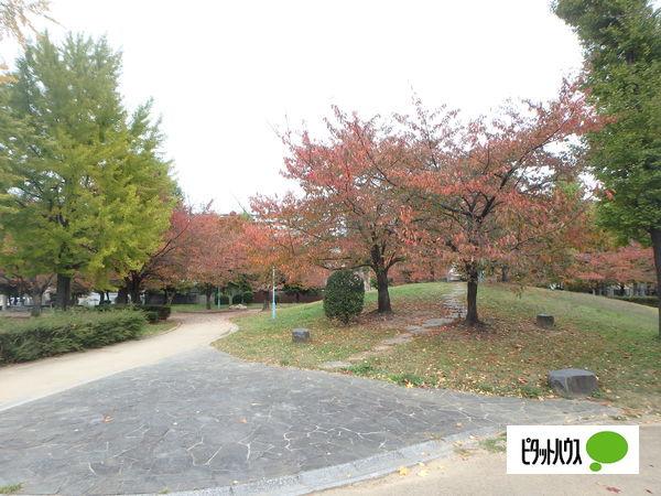 公園