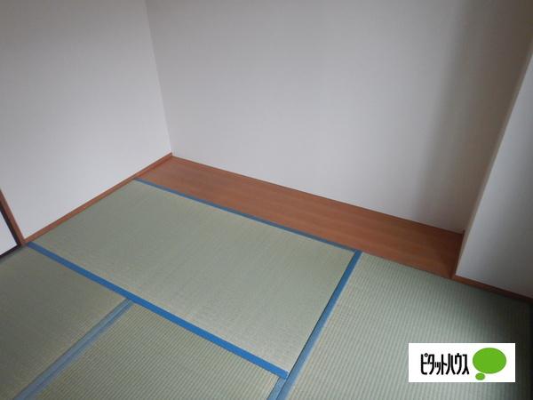 パラシオン菊水 その他部屋・スペース