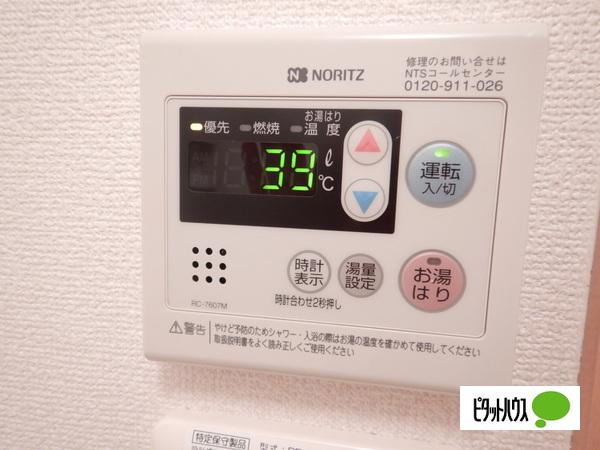 アンプルールフェールGland　Ｍob その他