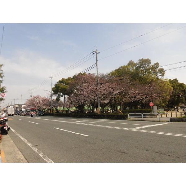 大枝公園：1239m