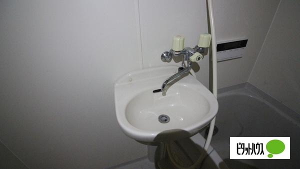 シェルマンド薩摩 洗面