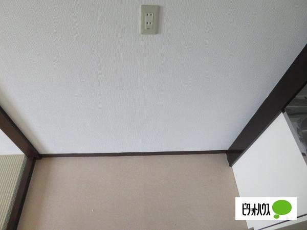 橋中ハイツ その他部屋・スペース