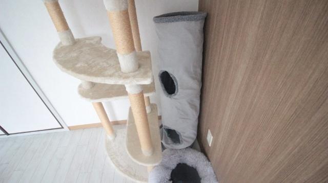 コンフォール月出町 その他