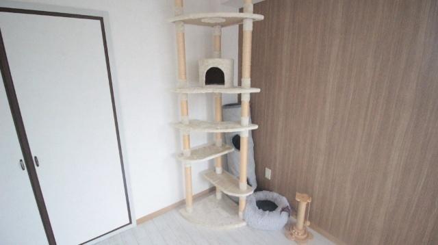 コンフォール月出町 その他