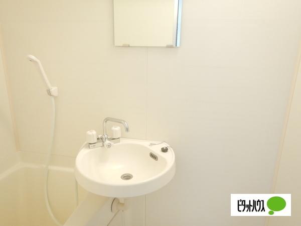 メゾンかなめ 洗面