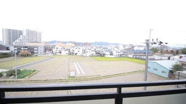 さくら館 眺望