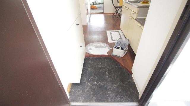 マンションからたち 玄関