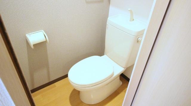 ウィズグリーン トイレ