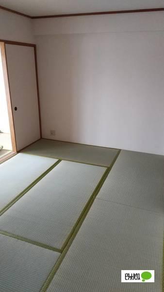 平安ハイツ（202） その他部屋・スペース