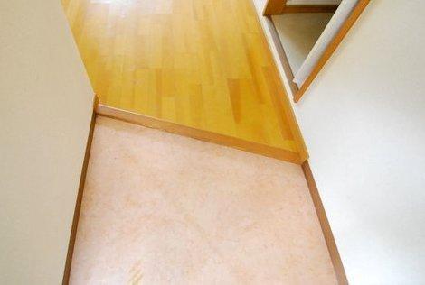 フェアリーアオイ 玄関