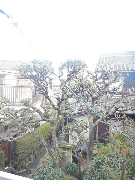 パクトール守口 眺望