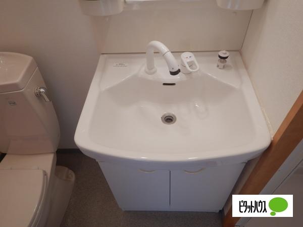清水728ハイツ 洗面