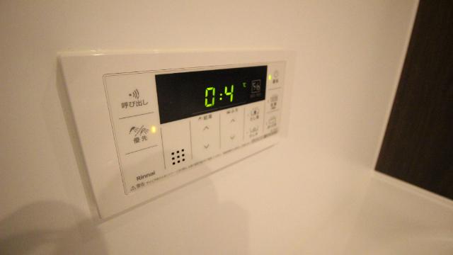 パレフローラ（203） その他