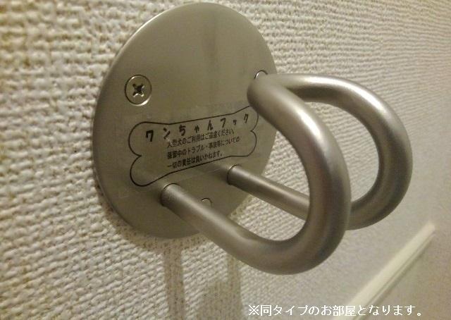 グレートエレガンス’２４（201） 部屋画像