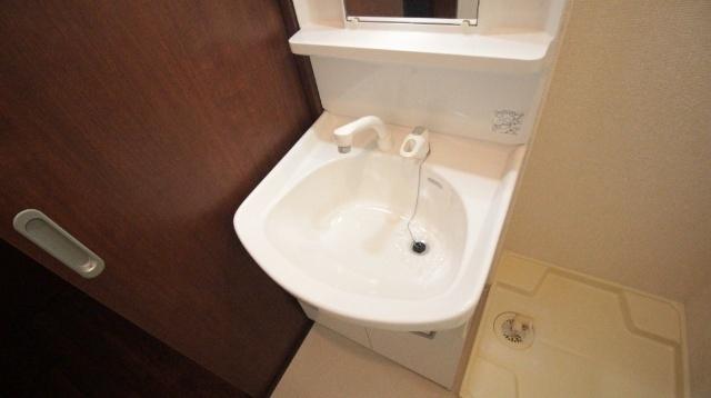 マ　メゾン　Ｍ・ＤＳ（101） 洗面