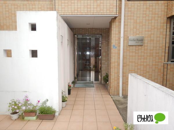 グランシーハヤシ 物件画像