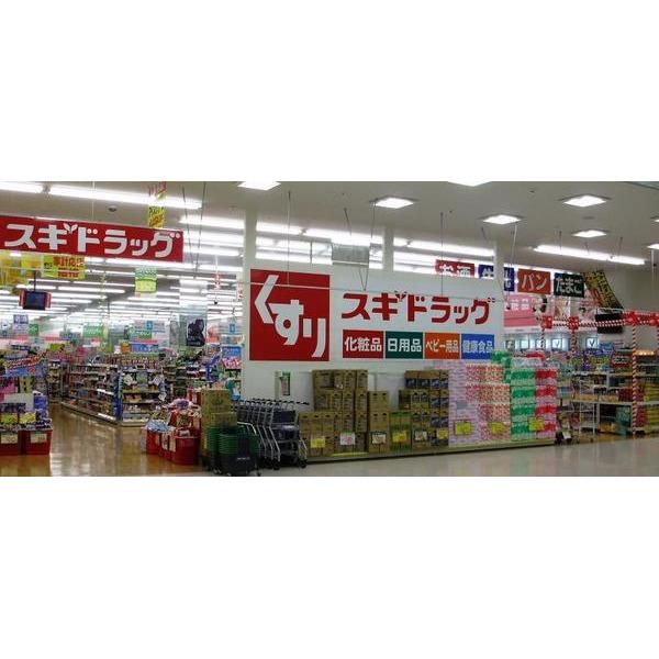 スギドラッグ門真舟田店：503m