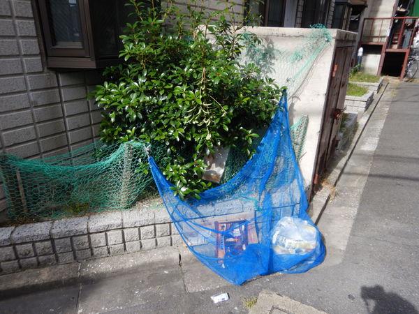 栄ロイヤルマンション 物件画像