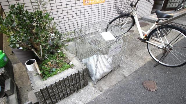 グリーンパーク御堂町 物件画像