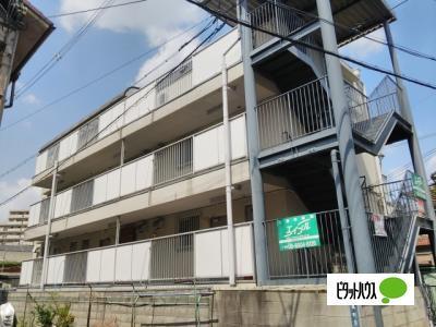 ロイヤル向島（旧ハイツ向島） 物件画像