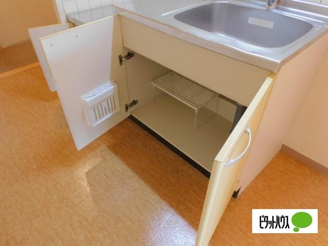 I's Villa Annex（405） 収納