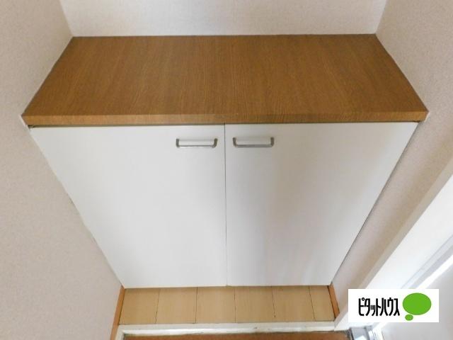 スカイハイツ高橋Ⅱ（105） 収納