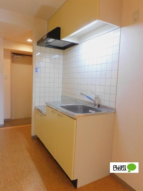 I's Villa Annex（405） キッチン
