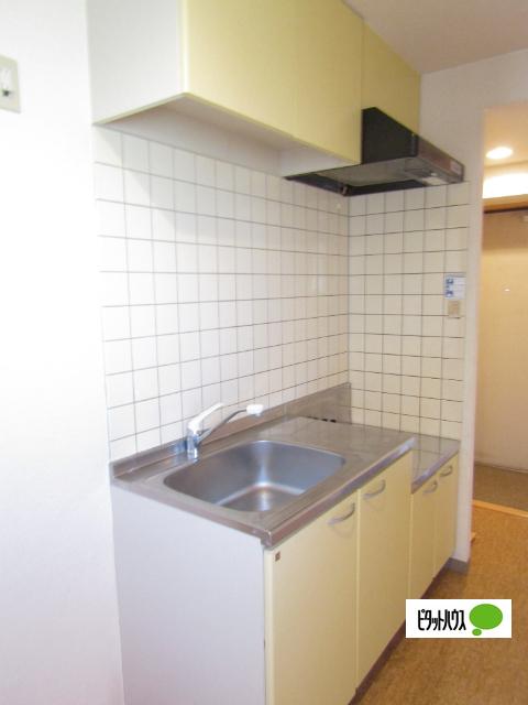 I's Villa Annex（306） キッチン