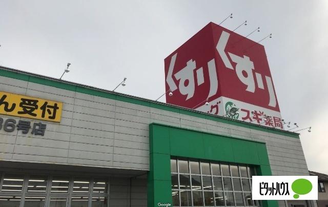 スギ薬局又丸店：1071m