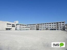 岐阜市立島小学校：1169m