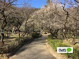公園