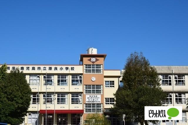 鹿児島市立原良小学校：279m