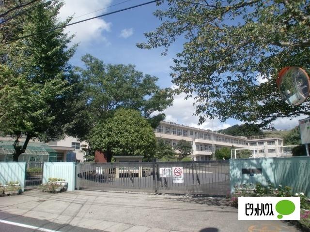 鹿児島市立伊敷小学校：874m