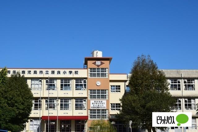 鹿児島市立原良小学校：649m