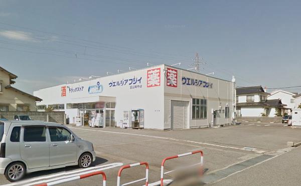 ウエルシア富山婦中店：987m
