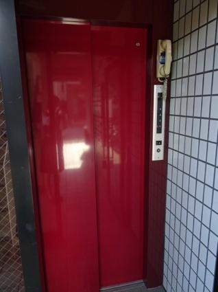 ライトクローバー（105） その他