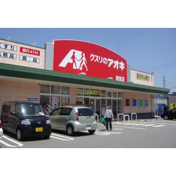 クスリのアオキ根塚店：598m