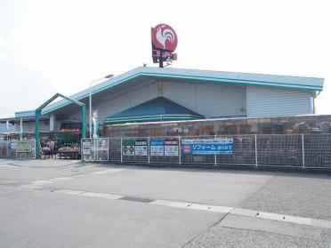 コメリ大沢野店：1100m