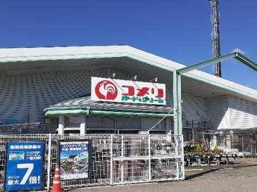 コメリ大沢野店：1100m