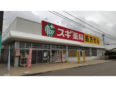 スギ薬局小杉店：1062m