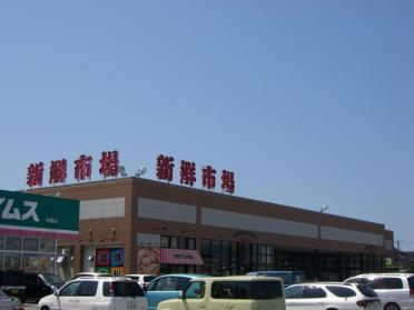 新鮮市場羽根店：1431m